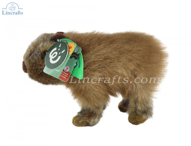 Capybara sale soft toy