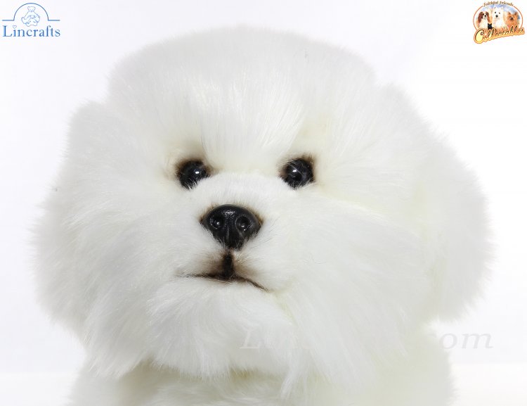 Soft Toy Bichon Frise Dog by Faithful Friends 23cm H FBF03 Lincrafts