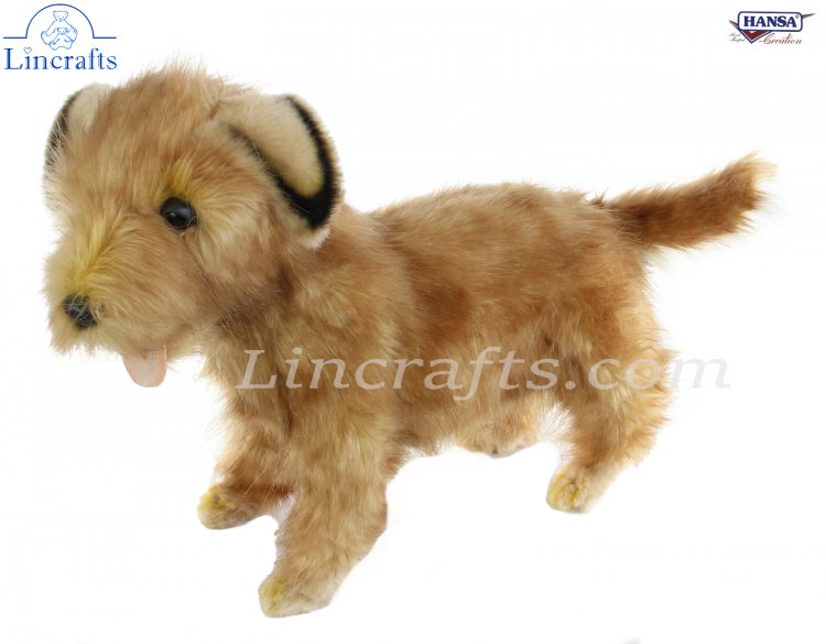 norfolk terrier stuffed animal