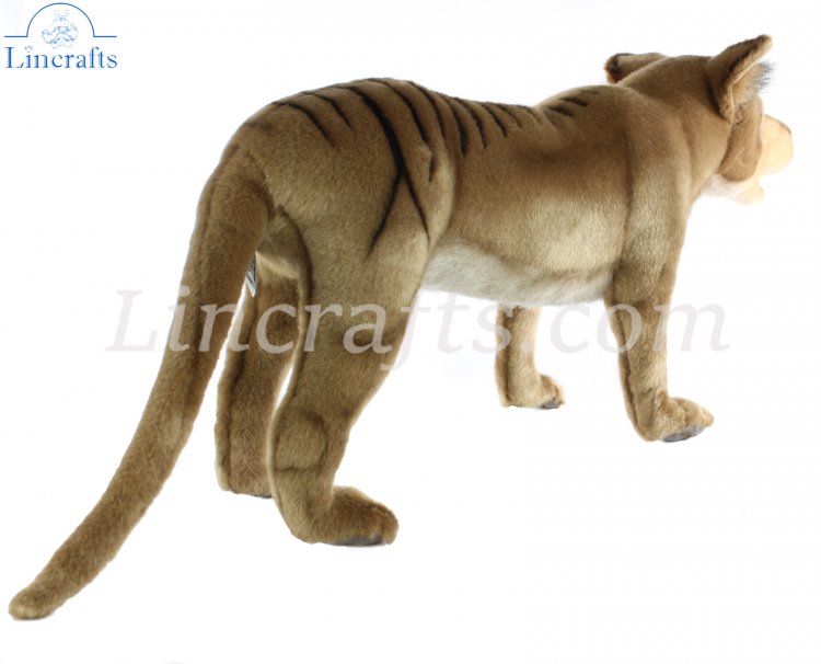 Soft Toy Tasmanian Tiger by Hansa 50 cm.L 5169 Lincrafts