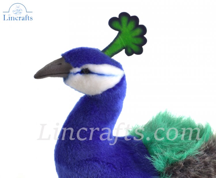 Peacock soft toy online