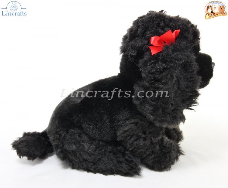 Black dog teddy best sale