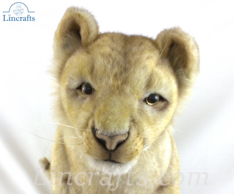 Lion baby clearance toy