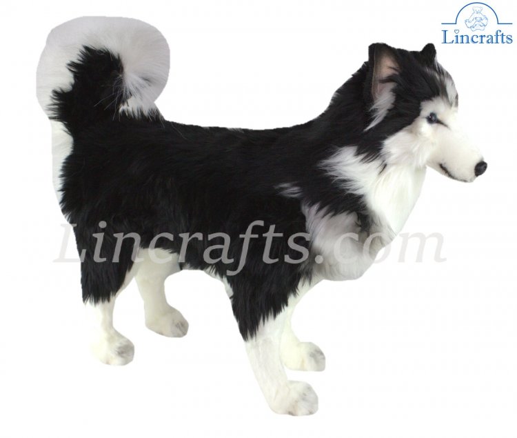 Hansa Husky Dog, Gray Life Size 46L - Endeavour Toys