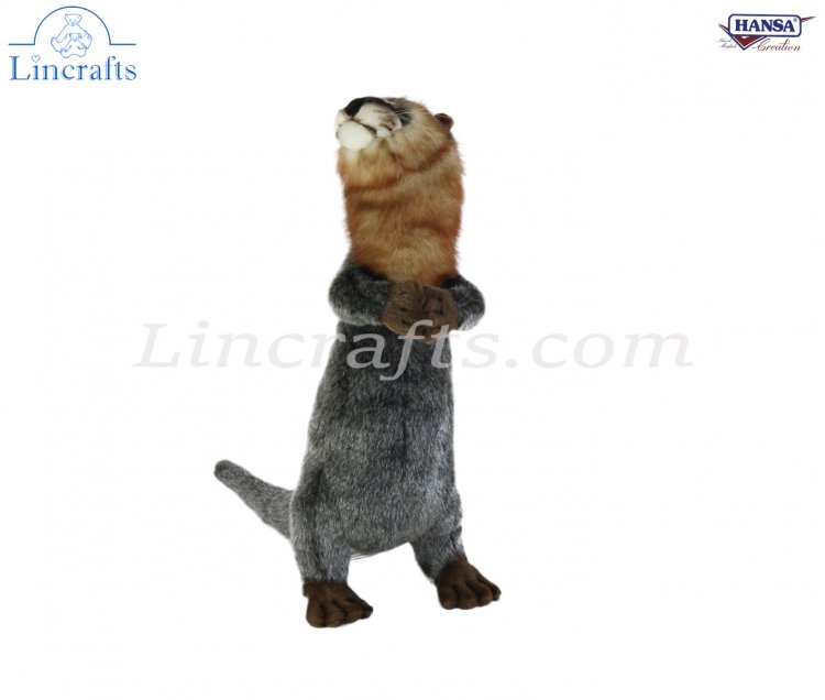 Soft Toy Otter by Hansa (24cm) 3814 | Lincrafts