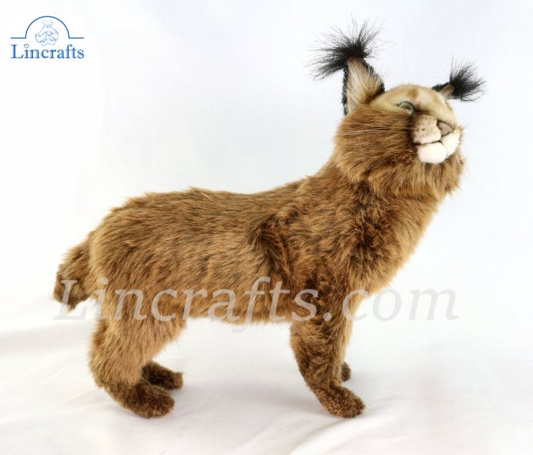 caracal plush