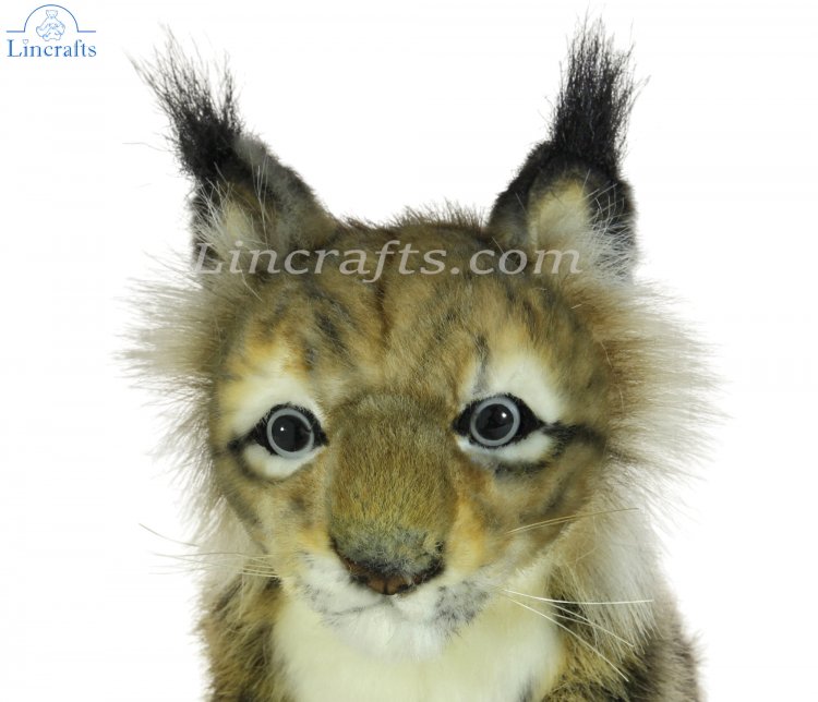 Lynx sales soft toy