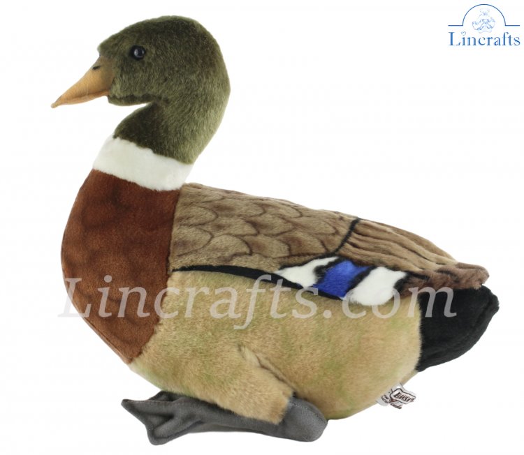 Mallard duck sales toy