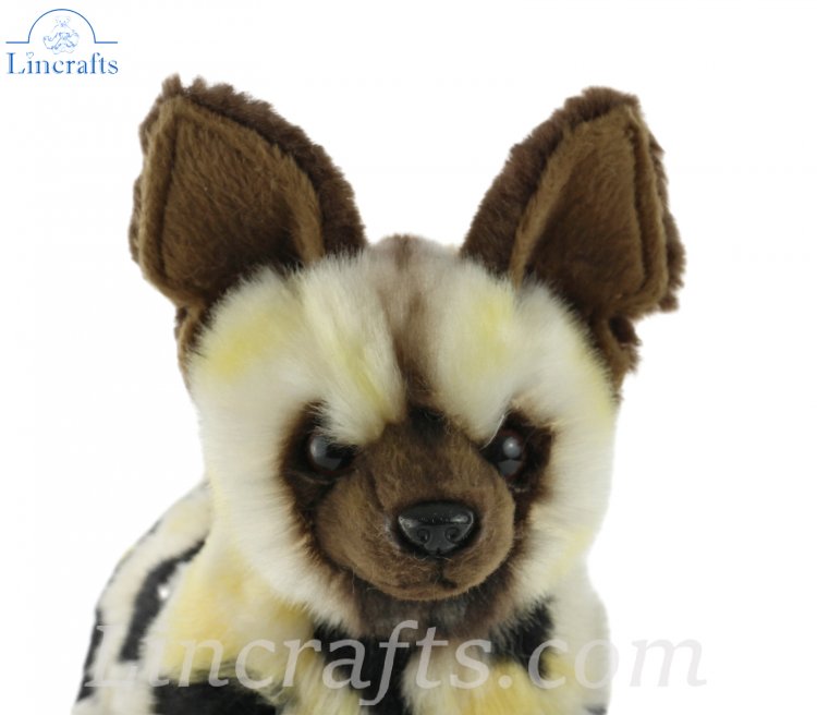 Wild dog best sale plush