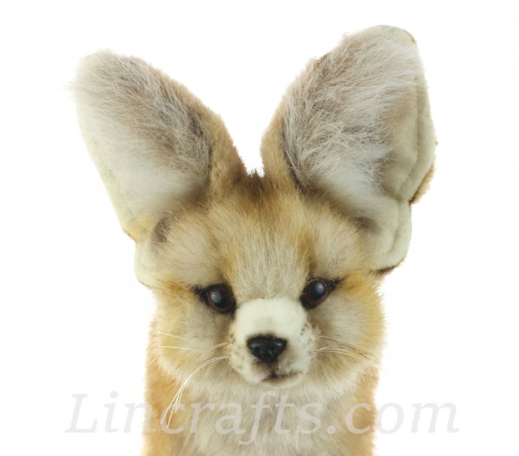 Bat eared fox clearance plush