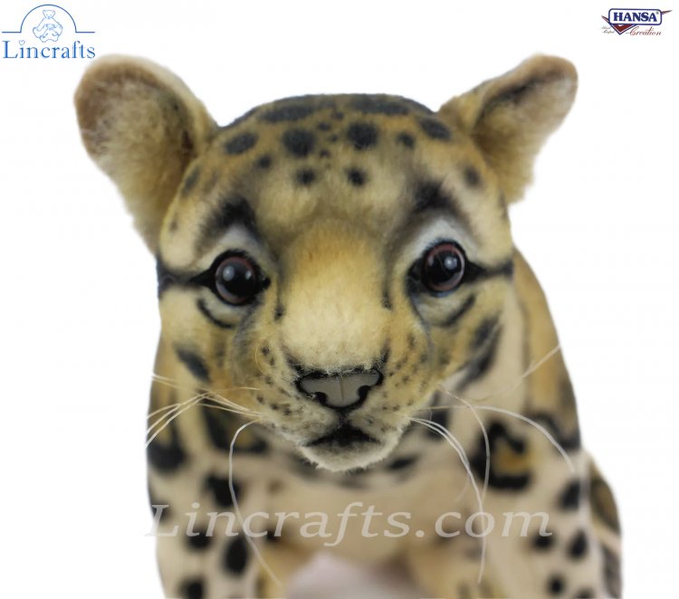 Clouded leopard hot sale stuffed animal