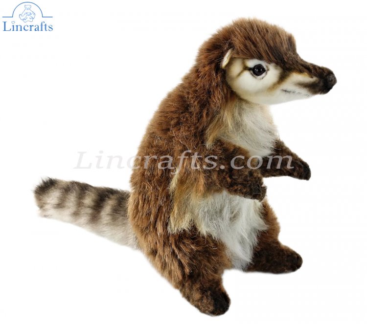 Coati shop stuffed animal