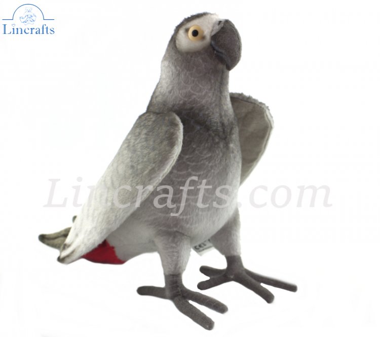 Stuffed african grey parrot new arrivals