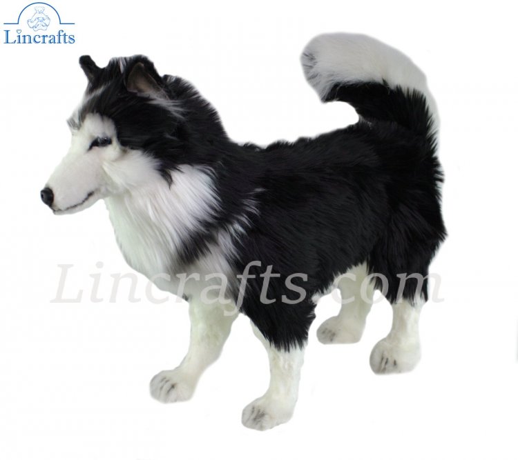 Hansa Toys 5046 Life Size Husky Dog - Black and Beige