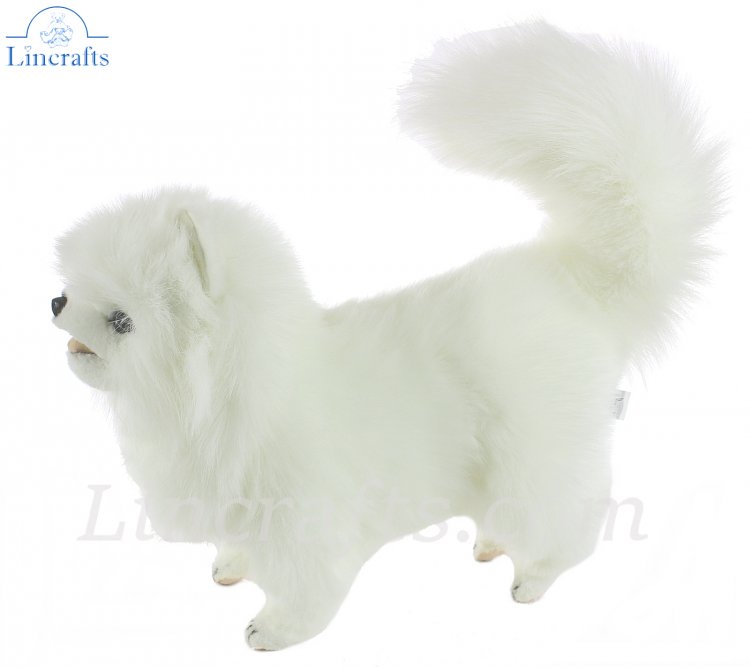 pomeranian dog soft toy