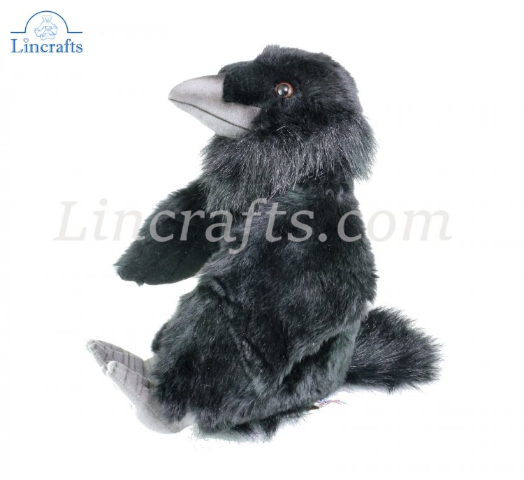 Raven soft clearance toy