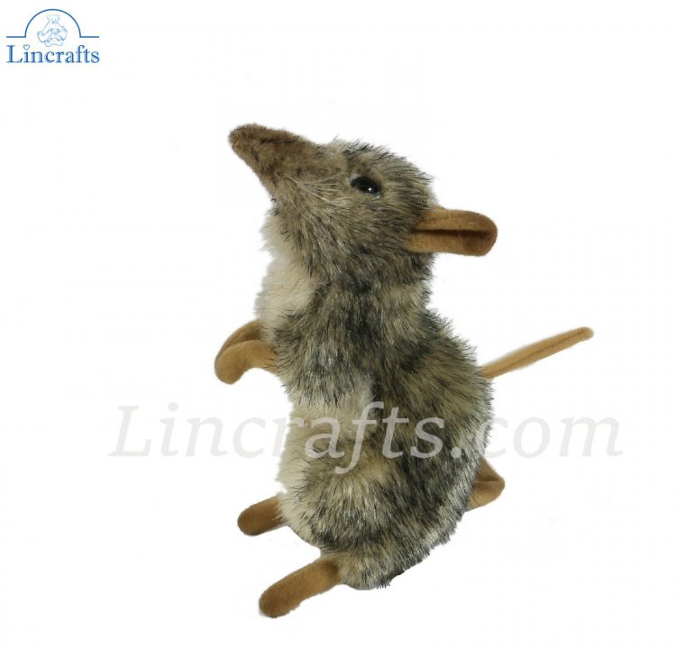 elephant shrew plush