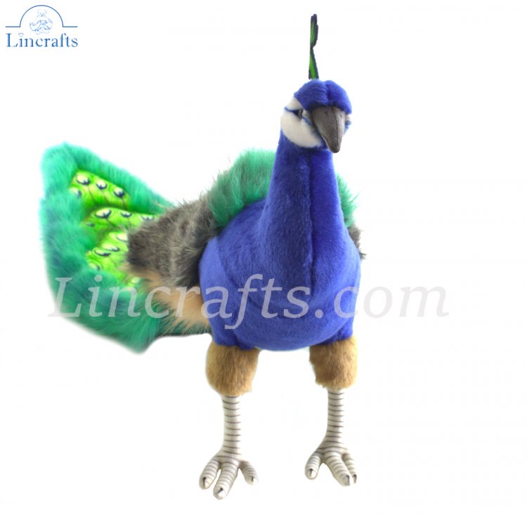 Peacock cuddly toy online